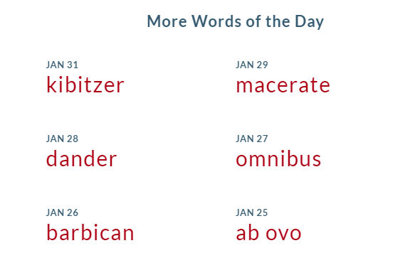 more words of the day for vocabulary